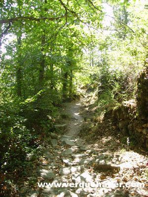 Camino del agua