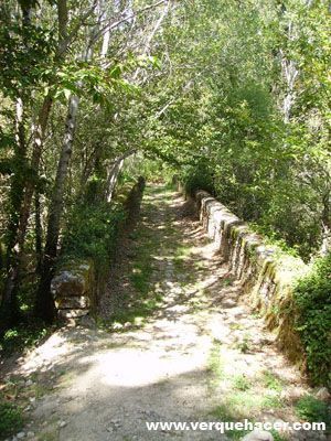 Camino del agua