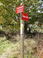 Camino de Candelario a Llano Alto