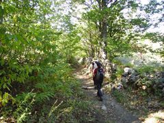 Camino de Candelario a Llano Alto
