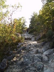 Camino de Candelario a Llano Alto