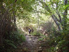 Camino a la Dehesa de Candelario