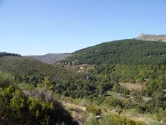 Camino a la Dehesa de Candelario