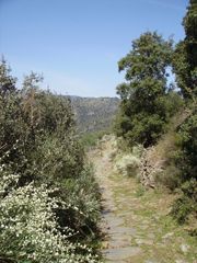 Camino de la barca. Vilvestre.