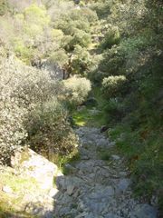 Camino de la barca. Vilvestre.