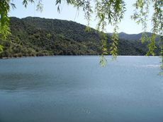 Camino de la barca. Vilvestre.