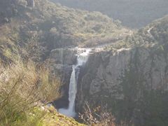 humos_perena_1