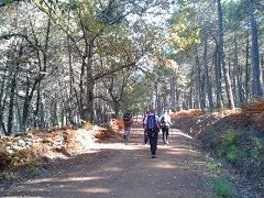 minas5